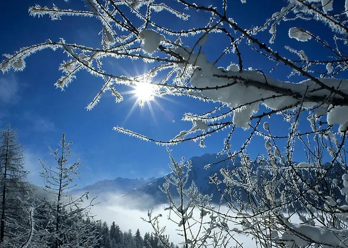 Appartementhaus Speckalm